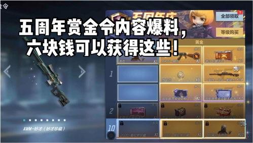 赏金令最新爆料价格,神秘价格引发热议，揭秘幕后真相