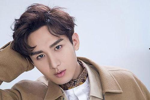 成毅主播爆料最新消息新闻