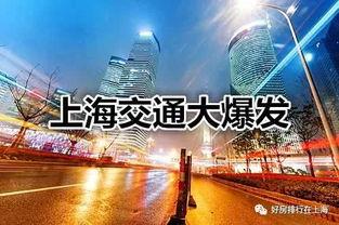 射阳最新爆料,揭秘神秘事件背后的真相
