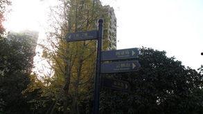 新江湾城最新爆料事件视频,事件视频揭秘惊人真相