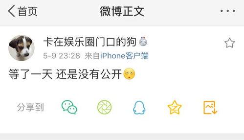 qq吃瓜爆料免费最新免费,QQ吃瓜爆料免费最新动态，带你领略网络热点风云