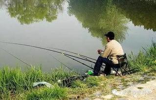 春天钓鱼爆料最新消息图片,揭秘春天钓鱼爆料最新动态