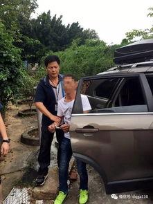 德庆县爆料新闻最新,最新爆料揭示惊人真相